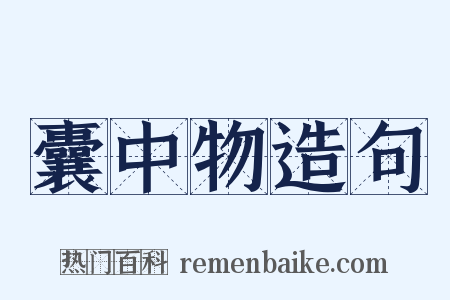 囊中物造句是什么意思的图片